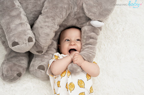Get Quality Baby Elephant Photos at Amazing Baby and Newborn Photo Studio Malaysia